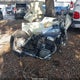 JS1NP41A262101192 2006 Suzuki Ls650 P auction photo thumbnail 12