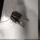 1HGFA15587L126229 2007 Honda Civic Lx auction photo thumbnail 11