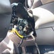 5NPDH4AE3FH631798 2015 Hyundai Elantra Se auction photo thumbnail 6