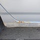 2T1BR32E67C775766 2007 Toyota Corolla Le auction photo thumbnail 6