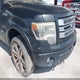 1FTFW1ET9DFB80695 2013 Ford F-150 Limited auction photo thumbnail 6