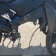 JS1EK11DXS7100019 2025 Suzuki Gsx-S1000 A auction photo thumbnail 8