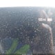 5YJ3E1EA9KF434525 2019 Tesla Model 3 Long Range/Mid Range/Standard Range/Standard Range Plus auction photo thumbnail 17