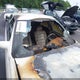 1G6KD52B7SU308452 1995 Cadillac Deville auction photo thumbnail 13