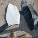 4T3E6RFV5RU166373 2024 Toyota Rav4 Hybrid Xse auction photo thumbnail 12