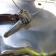 JTKKT624360164301 2006 Scion Xa auction photo thumbnail 11