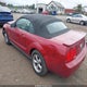 1ZVHT84N985146195 2008 Ford Mustang V6 Deluxe/V6 Premium auction photo thumbnail 3