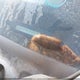 1C4RJFCM7FC234469 2015 Jeep Grand Cherokee High Altitude auction photo thumbnail 9