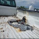 1FTBF2B64CEC86401 2012 Ford F-250 Xl auction photo thumbnail 6