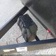 5ZT2SSUB3RE022227 2024 Shasta Other auction photo thumbnail 10