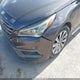 5NPE34AF2GH317363 2016 Hyundai Sonata Sport auction photo thumbnail 6
