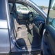 JHLRE38597C064916 2007 Honda Cr-V Ex auction photo thumbnail 5