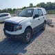 1FMJU1G5XAEB67479 2010 Ford Expedition Xlt auction photo thumbnail 2