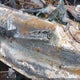 1GCJC33285F910591 2005 Chevrolet Silverado 3500 Ls auction photo thumbnail 9