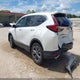 2HKRW1H8XLH426436 2020 Honda Cr-V 2Wd Ex-L auction photo thumbnail 3