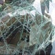 JM3LW28A860563639 2006 Mazda Mpv Lx-Sv auction photo thumbnail 14