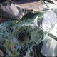 JM3LW28A860563639 2006 Mazda Mpv Lx-Sv auction photo thumbnail 7