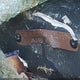 JM3LW28A860563639 2006 Mazda Mpv Lx-Sv auction photo thumbnail 9