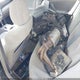 4T4BE46K27R004274 2007 Toyota Camry Le auction photo thumbnail 12
