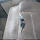 1FTPW14V97KA54596 2007 Ford F-150 Fx4/Lariat/Xlt auction photo thumbnail 11