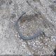 2T2AZMAA8MC197600 2021 Lexus Rx 350 auction photo thumbnail 12