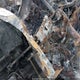 1FTFW1E17KFB24959 2019 Ford F-150 King Ranch auction photo thumbnail 9
