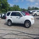 1FMCU5K33BKC19625 2011 Ford Escape Hybrid auction photo thumbnail 13