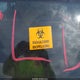 1FAFP15P6WW187113 1998 Ford Escort Se auction photo thumbnail 14