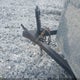 53BPTEA14JU027658 2018 Lgs Industries Cargo Trailer auction photo thumbnail 10