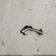 2HGFC1F79GH631753 2016 Honda Civic Ex-L auction photo thumbnail 12