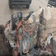 1FTFW3L80RKF59464 2024 Ford F-150 Xlt auction photo thumbnail 7