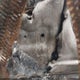 1FTFW3L80RKF59464 2024 Ford F-150 Xlt auction photo thumbnail 9