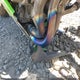 JKAZXCK19FA012493 2015 Kawasaki Zx1000 K auction photo thumbnail 17
