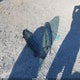JM1NC2PF8E0236468 2014 Mazda Mx-5 Miata Grand Touring auction photo thumbnail 12
