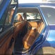 4S4BSATC5H3395233 2017 Subaru Outback 2.5I Touring auction photo thumbnail 8