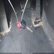 KMHDH4AE8DU785602 2013 Hyundai Elantra Gls auction photo thumbnail 11