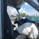 WD3PE8CD5HP521290 2017 Mercedes-Benz Sprinter 2500 High Roof V6 auction photo thumbnail 5