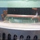 2GTEC19ZX61295786 2006 GMC Sierra 1500 Sle1 auction photo thumbnail 9
