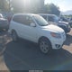 5NMSHDAG8AH395387 2010 Hyundai Santa Fe Se auction photo thumbnail 1