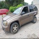 1GNDT13S922462664 2002 Chevrolet Trailblazer Ls auction photo thumbnail 2