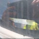 2C3CDYAG9DH626017 2013 Dodge Challenger Sxt auction photo thumbnail 17