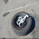 1FTEW2KPXRKF33050 2024 Ford F-150 Stx auction photo thumbnail 12