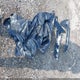1FTEW3LP8RKF71798 2024 Ford F-150 Xlt auction photo thumbnail 12