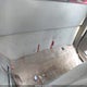 1GCCS19X2X8117927 1999 Chevrolet S-10 Ls auction photo thumbnail 7