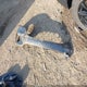 3GNAXKEV9KL300584 2019 Chevrolet Equinox Lt auction photo thumbnail 11