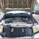 5TFBV54148X040224 2008 Toyota Tundra Sr5 5.7L V8 auction photo thumbnail 10