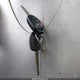 4T1BF1FK3HU795938 2017 Toyota Camry Se auction photo thumbnail 11