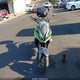 SMTL22U15STCE3049 2025 Triumph Motorcycle Tiger Sport 660 auction photo thumbnail 5