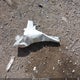 1N4AL3APXGN359254 2016 Nissan Altima 2.5 S auction photo thumbnail 12