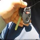 1HGFA16527L047895 2007 Honda Civic Lx auction photo thumbnail 11